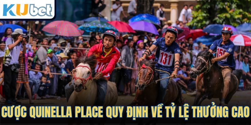 Cược Quinella Place quy định về tỷ lệ thưởng cao