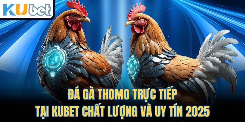 Đá Gà Thomo Trực Tiếp Tại KUBET Chất Lượng Và Uy Tín 2025