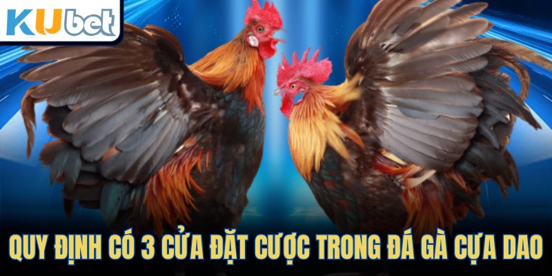 Quy định có 3 cửa đặt cược trong đá gà cựa dao