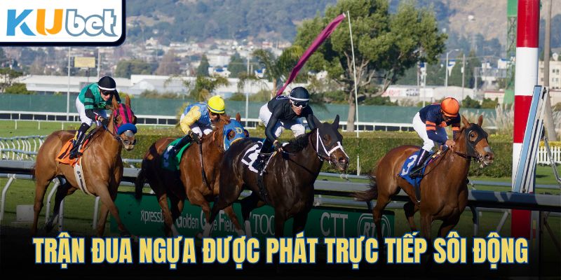 Trận đua ngựa được phát trực tiếp sôi động